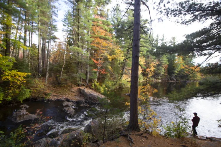 Fall fishing